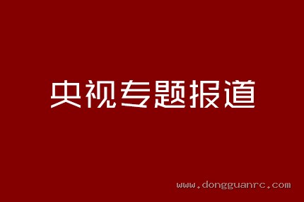 央视专题报道